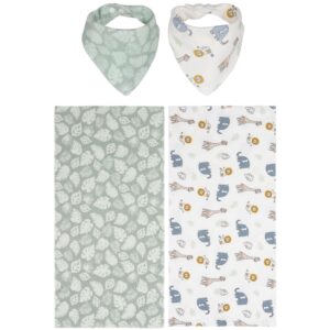 Trend Lab Tanzania Bib and Burp Cloth Set