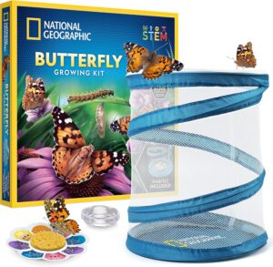 NATIONAL GEOGRAPHIC Butterfly Growing Kit – Butterfly Habitat Kit with Voucher to Redeem 5 Caterpillars (S&H Not Included), Butterfly Cage, Feeder (Amazon Exclusive)