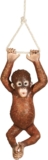 Design Toscano NE867215 Pongo, The Hanging Baby Orangutan Statue, full color