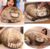 Chubby Steppe Cat Pillow,18” Pallas Cat Plush Pillow, Cute Steppe Cat Stuffed Animals Soft Plushies, Kitten Plush Throw Pillow Doll Big Plush Toys Gift for Girls Boys Girlfriend