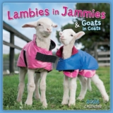 Lambies in Jammies & Goats in Coats 2026 Mini Calendar, 7″ x 7″