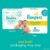 Pampers Sensitive Baby Wipes – 192 Count, Water Based, Hypoallergenic and Unscented (Packaging May Vary) (Pack of 2)