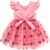 Baby Girl Valentine Dress Sleeveless Heart Tulle Tutu Skirt Holiday One-Piece Sundress (Deep Pink, 18-24M)